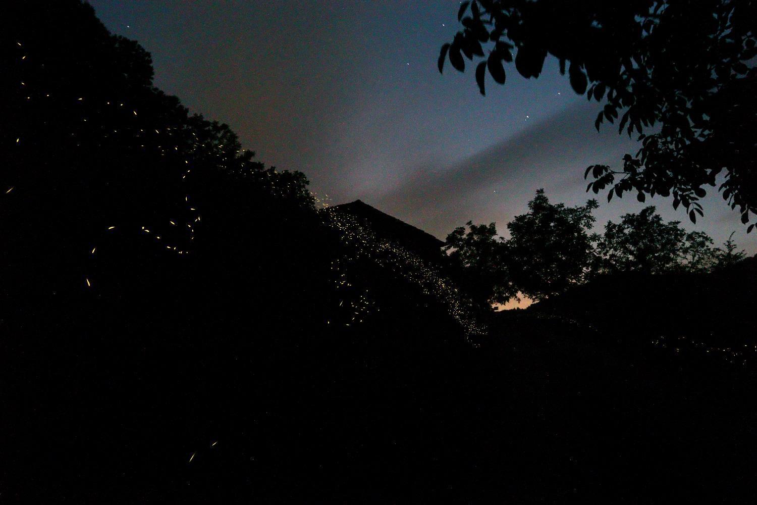 Mimmo'S Holiday House San Godenzo Kültér fotó
