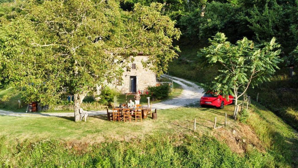 Mimmo'S Holiday House San Godenzo Kültér fotó