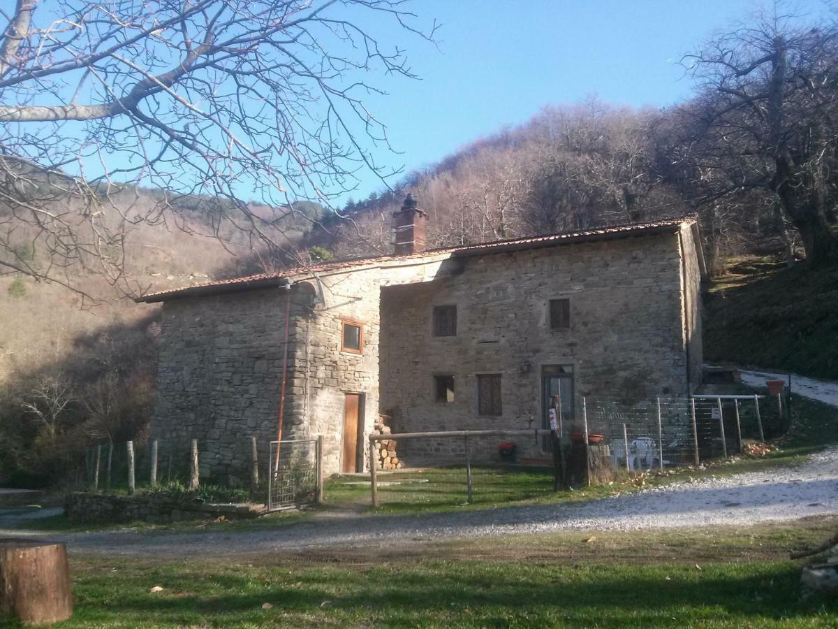 Mimmo'S Holiday House San Godenzo Kültér fotó
